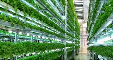 Next Generation Farming